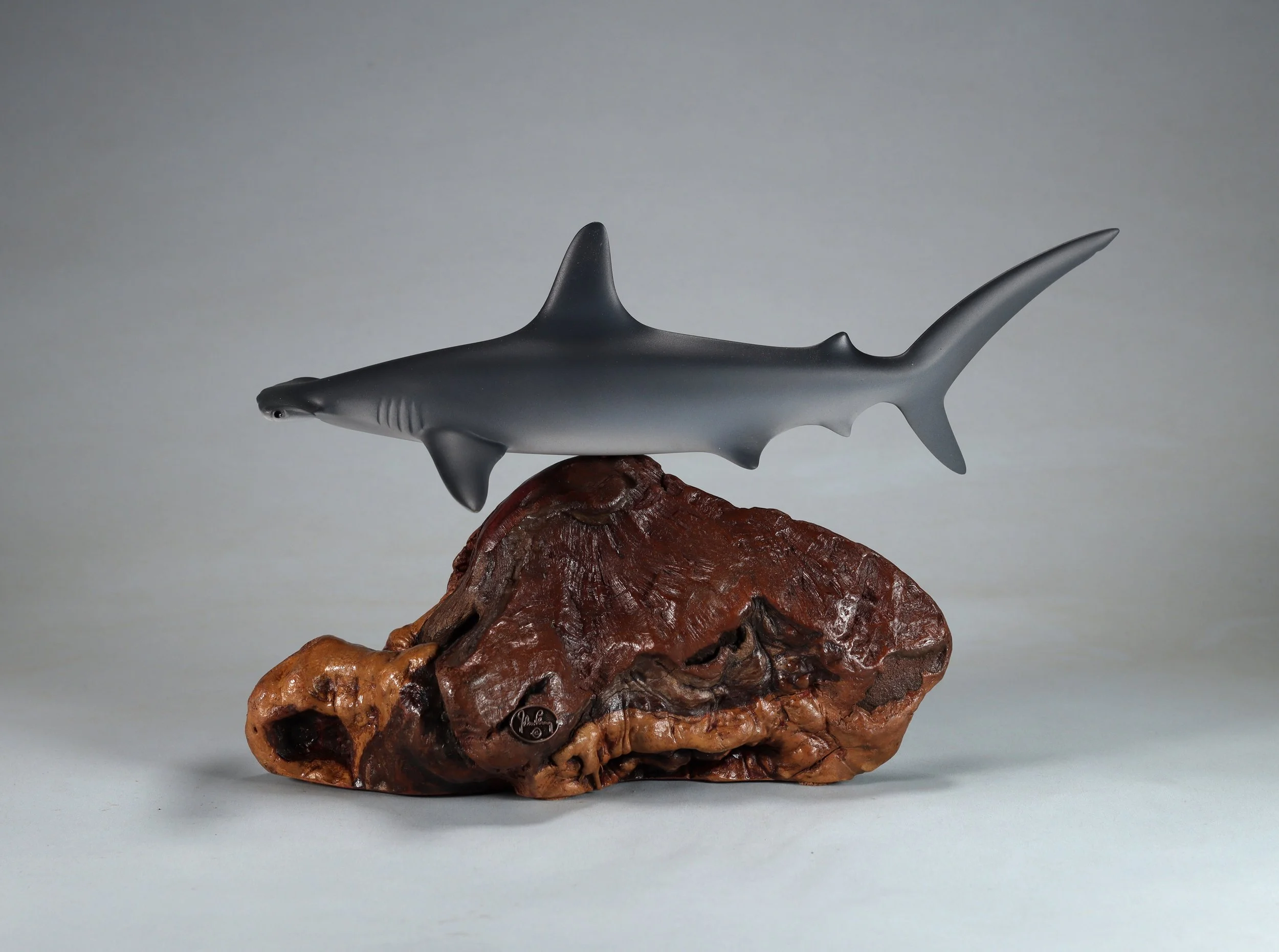 Hammerhead Sharks — All Items — JOHN PERRY STUDIO